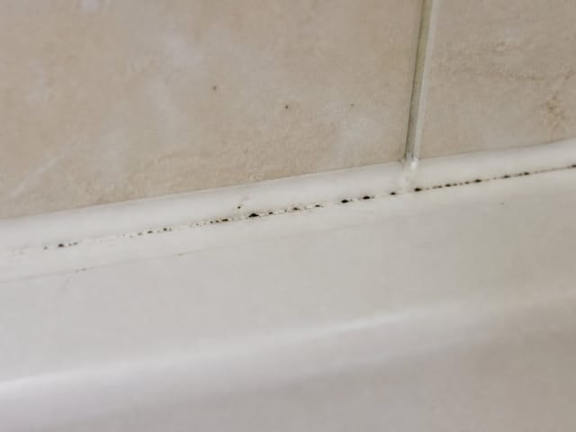 Légères traces de moisissure sur un joint d'étanchéité de salle de bain