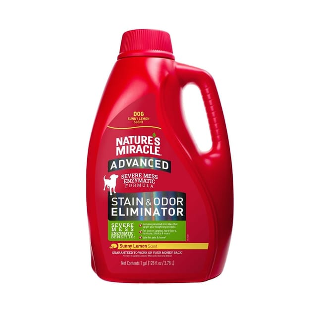 白底背景下的 Nature's Miracle Advanced Stain & Odor Eliminator 正面商品图