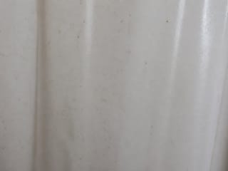Légère moisissure sur un rideau de douche