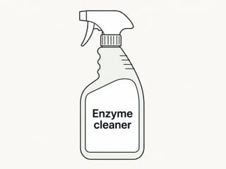 Illustration au trait d'un flacon de nettoyant enzymatique